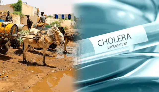 Cholera outbreak kills over 170 in Sudan amid war and water crisis. Photo: GLR composition/ abc News & Economic Times Cholera outbreak kills over 170 in Sudan amid war and water crisis. Photo: GLR composition/ abc News & Economic Times