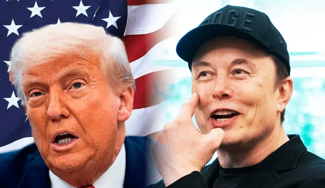 Elon Musk slams Donald Trump's "big, beautiful tax bill". Photo: GLR composition/ Federal flags & Allison ROBBERT / AFP Elon Musk slams Donald Trump's "big, beautiful tax bill". Photo: GLR composition/ Federal flags & Allison ROBBERT / AFP