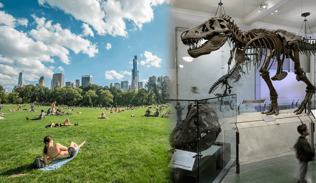 Discover all the exciting things you can do in the New York this summer, without spending a dime! Photo: GLR composition/New York Pass Discover all the exciting things you can do in the New York this summer, without spending a dime! Photo: GLR composition/New York Pass