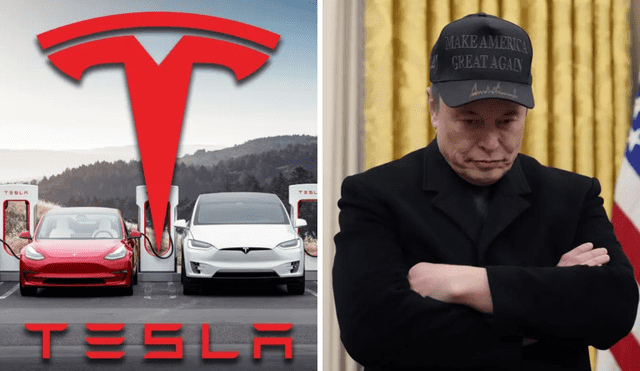 Tesla stock fall 8% after criticism between Trump and Elon Musk. Photo: GLR Composition/Electrek Tesla stock fall 8% after criticism between Trump and Elon Musk. Photo: GLR Composition/Electrek
