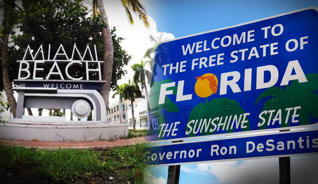 Miami and Florida are the same? No, they have a big difference between them. Photo: GLR Composition / Trip Advisor / WFTV Miami and Florida are the same? No, they have a big difference between them. Photo: GLR Composition / Trip Advisor / WFTV