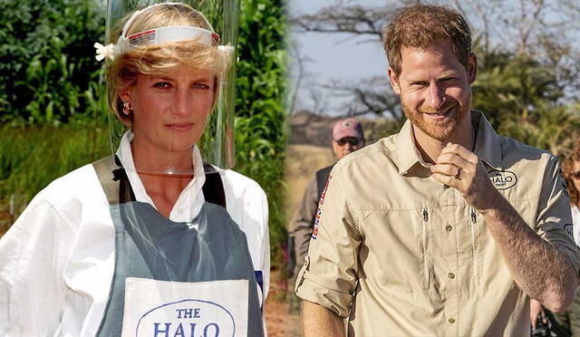 Príncipe Harry emula a Lady Di caminando sobre campo repleto de minas antipersonales