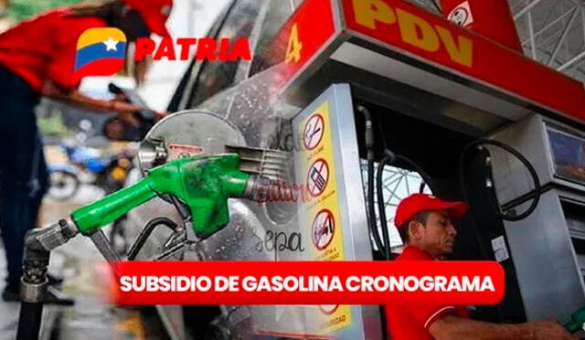  En pocos pasos puedes pagar la gasolina de Patria. Foto: composición LR/difusión    