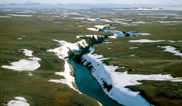 Surgimiento de la Tundra en el norte de Rusia. Foto: GRID.