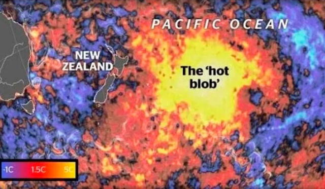 Hasta el momento, la zona central de esta 'burbuja caliente' está cinco grados por encima del promedio. Se observa su cercanía a Nueva Zelanda. Imagen: NZC.