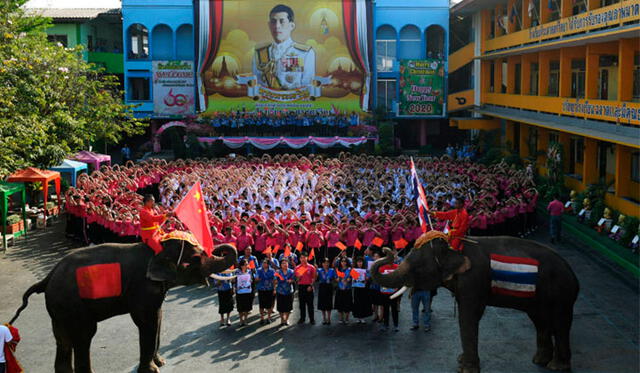 Usaron hasta elefantes para enviar el mensaje de apoyo. Foto: Reuters.