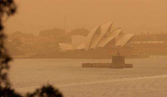 Incendios y calor. La ciudad de Sydney fue invadida por el humo forestal, desatando una emergencia sanitaria. Foto: EFE.
