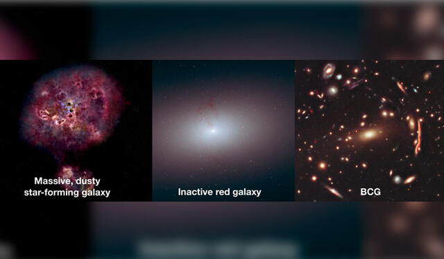 La evolución de la galaxia XMM-2599. De izquierda a derecha: primero su etapa formadora de estrellas, luego una galaxia inactiva y finalmente una galaxia brillante dentro de un cúmulo galáctico.