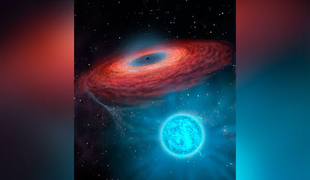 Representación detallada de la estrella que orbita al agujero negro LB-1. Crédito: Yingchuan  Yu.