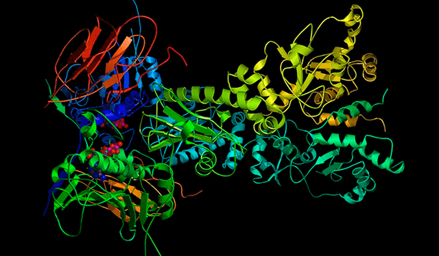La glicina estaba enlazada a elementos como el hierro y litio y formaba parte de una molécula de proteina. Imagen referencial: Nature.