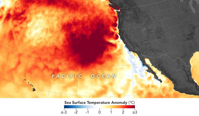 La mancha caliente se acercó a las costas de Norteamérica entre 2014 y 2016. Imagen: NASA.
