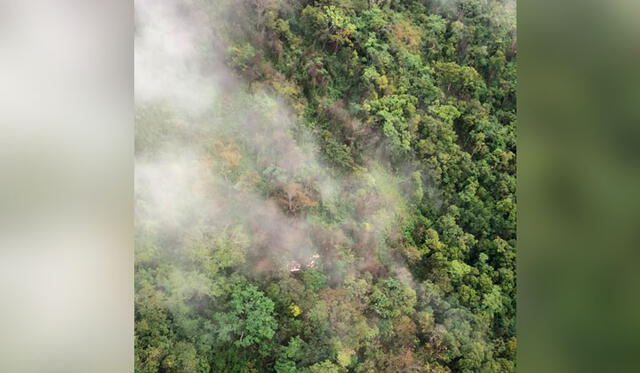 Federico Black mostró la fotografía donde se habría ubicado el punto de impacto. Se observa humo saliendo del bosque. Twitter.