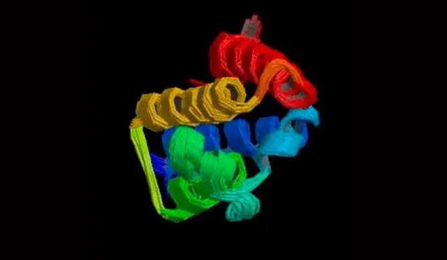 Ilustración de la proteína Gcn5, responsable del "desalojo" de las histonas en espermatozoides. Crédito: Phosphosite.