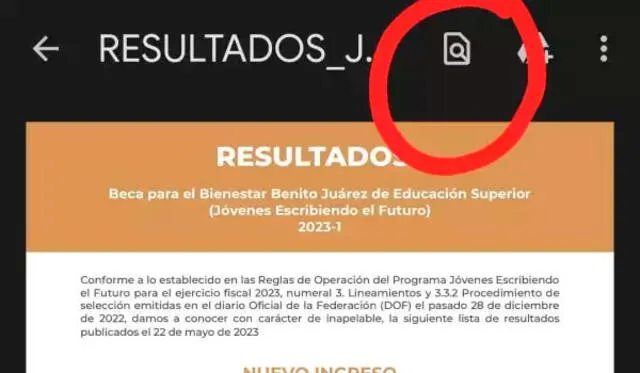 Así puedes consultar más fácilmente los resultados de Jóvenes Escribiendo el Futuro desde tu celular. Foto: Expansión   