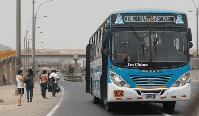 Los buses de Los Chinos tienen una longitud de 12 metros. Foto: La República.   