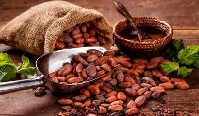 Ecuador se consolida como el tercer mayor productor de cacao a nivel mundial. Foto: GoRaymi.   