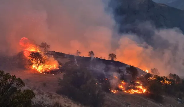  Cusco: Dos incendios forestales afectan provincia de La Convención.   