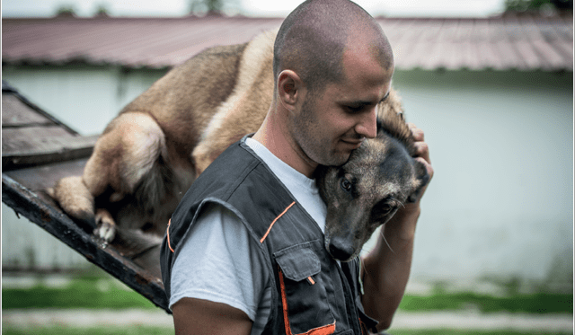 Canes trabajan con las Fuerzas Armadas para detectar la mayor cantidad de minas. Foto: Difusión   