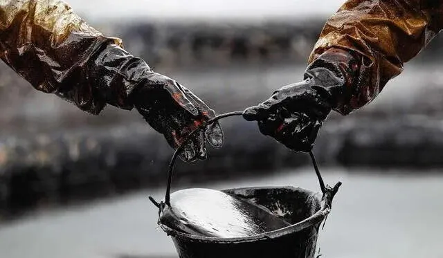  Este país es uno de los mayores productores de petróleo en el mundo en 2024: Foto: American Petroleum<br>    