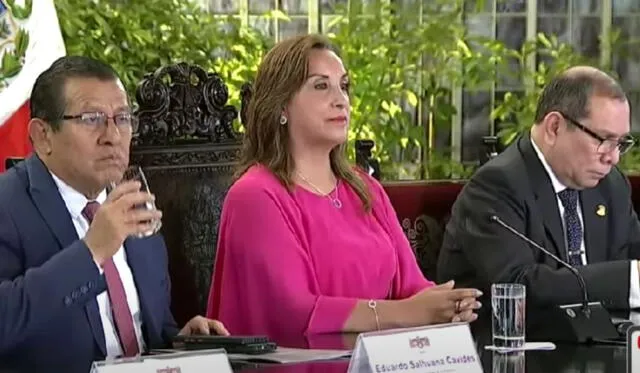 Presidenta en el Consejo de Estado. Foto: captura   