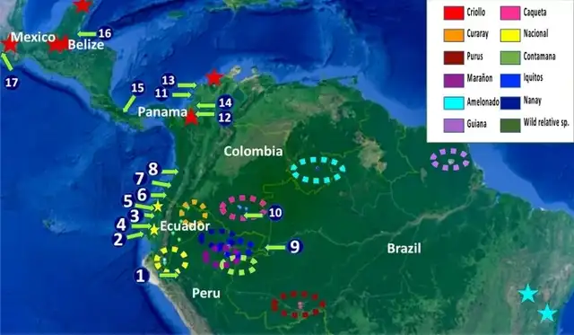 Los restos más antiguos de cacao se encontraron en el sitio arqueológico de Santa Ana-La Florida, ubicado en la provincia de Zamora-Chinchipe. Gráfico: Scientific Reports. Los restos más antiguos de cacao se encontraron en el sitio arqueológico de Santa Ana-La Florida, ubicado en la provincia de Zamora-Chinchipe. Gráfico: Scientific Reports.