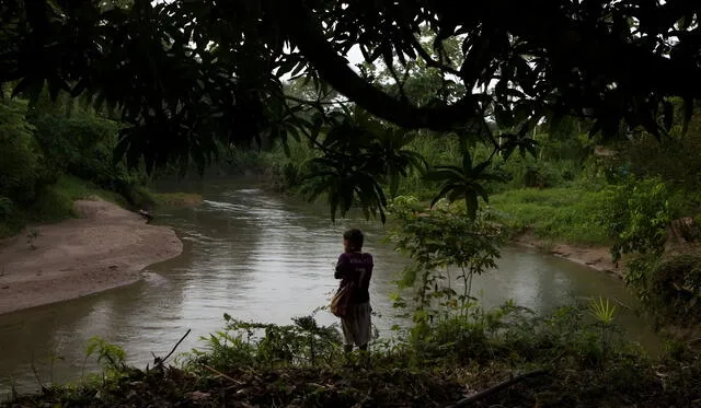CARE propone que los docentes no bilingües sean un complemento. Foto: Ojo Público   
