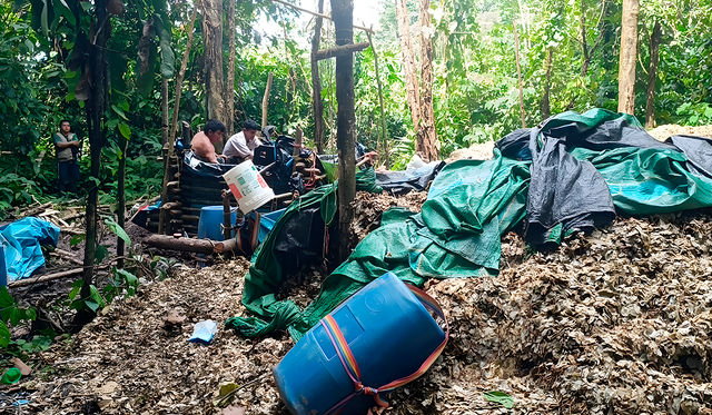 Comunidades de Kakataibo | Guardias Indígenas | Pueblos Indígenas en Aislamiento Voluntario | PIAV | Comisión Nacional para el Desarrollo y Vida sin Droga | Devida | Fenacoka | Federación Nativa de Comunidades Kakataibo | Organización Regional AIDESEP Ucayali | ORAU | Asociación Interétnica de Desarrollo de la Selva Peruana Comunidades de Kakataibo | Guardias Indígenas | Pueblos Indígenas en Aislamiento Voluntario | PIAV | Comisión Nacional para el Desarrollo y Vida sin Droga | Devida | Fenacoka | Federación Nativa de Comunidades Kakataibo | Organización Regional AIDESEP Ucayali | ORAU | Asociación Interétnica de Desarrollo de la Selva Peruana