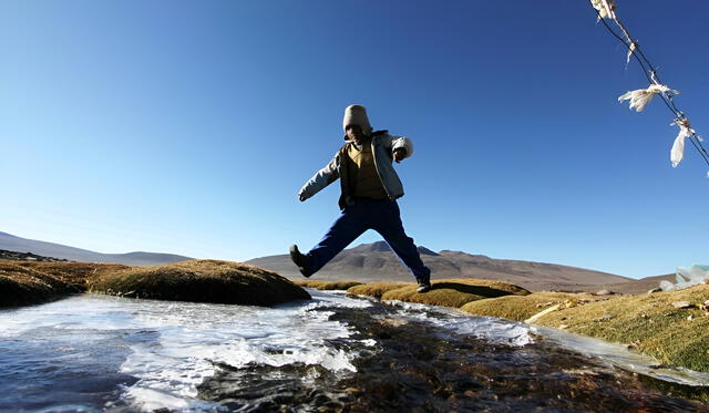  Frío extremo en Puno causa congelamiento de pastos naturales, bofedales, y riachuelos. Foto: Composición LR/Liubomir Fernández   