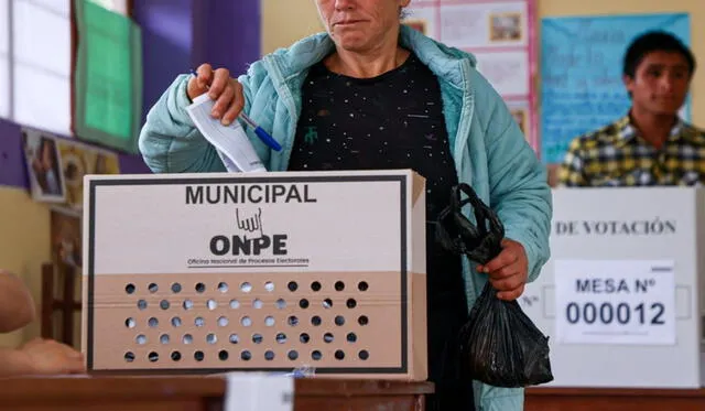  El proceso está regido por la Ley Orgánica de Elecciones. Foto: Flickr   