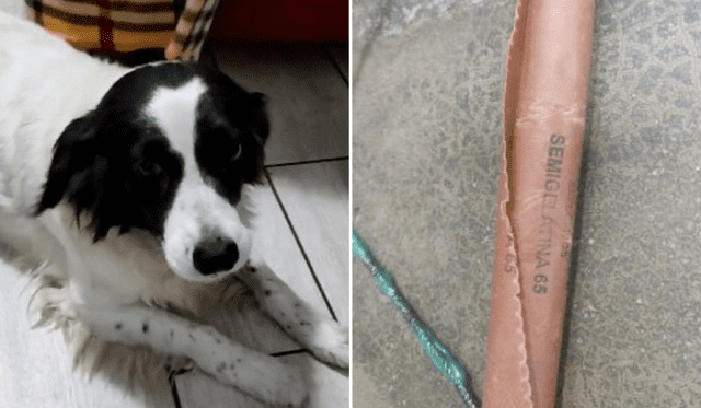  Manchis y el cartucho de dinamita. Foto: Composición LR   