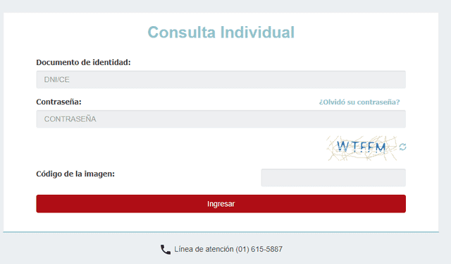 Consulta individual. Foto: Minedu