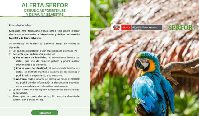 Plataforma oficial para realizar denuncias forestales y de fauna silvestre. Foto: Serfor