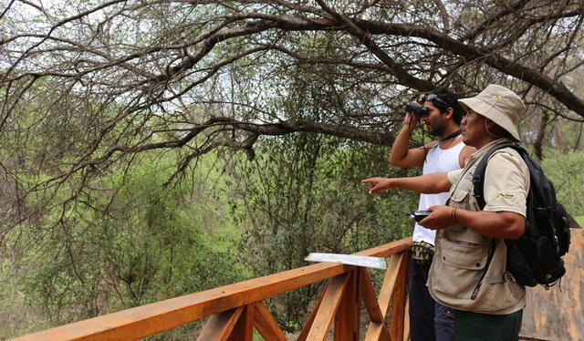 El Bosque de Pómac es uno de los principales atractivos turísticos de Lambayeque. Foto: Andina.