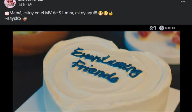 Meme tras el estreno del MV "House party". Foto: Ejercito ELF