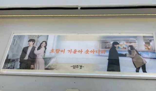 Banner con fotografías de Moon Ga Young y Hwang In Yeop en True Beauty. Foto: codecafe en Instagram