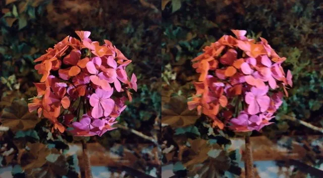 A la izquierda, fotografía en modo night vision y, a la derecha, en modo normal. Foto: Edson Henriquez