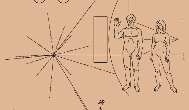 Placa de la sonda Pioneer 10 donde aparecen un hombre, una mujer, nuestra posición en el sistema solar y cierta información de él. Foto: Wikipedia / NASA / Oona Räisänen / Linda Salzman Sagan