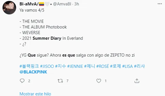 Fans BLINK sobre el Summer Diary. Foto: captura Twitter