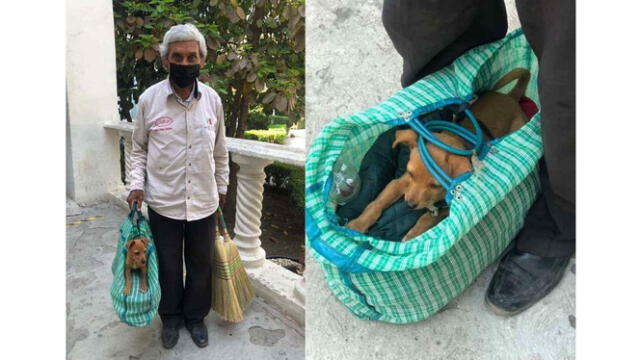 El anciano y su mascota son muy populares en México. Foto: captura de Facebook