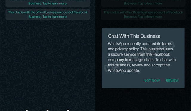 Las nuevas políticas de WhatsApp se deberán aceptar solo si se quiere chatear con la cuenta de una empresa. Foto: WABetaInfo