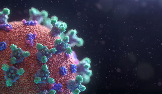 Representación de una partícula de SARS-CoV-2 flotando en el ambiente. Imagen: Fusion Medical Animation