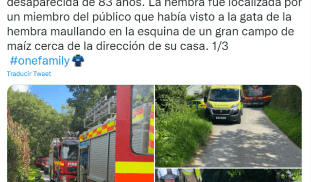 La mujer de 83 años fue trasladada en al hospital en una ambulancia aérea en condición estable. Foto: captura de Twitter/@BodminPolicía