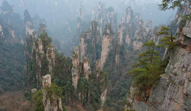 Las montañas Tianzi se encuentran en la provincia china de Hunan. Foto: TripAdvisor