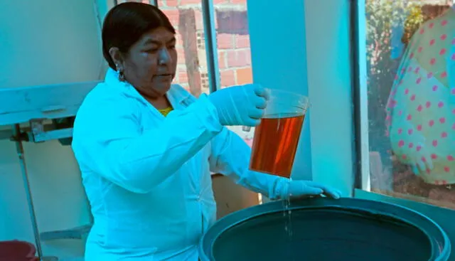 El primer paso para crear los jabones es purificar el aceite reciclado. Foto: EFE. El primer paso para crear los jabones es purificar el aceite reciclado. Foto: EFE.