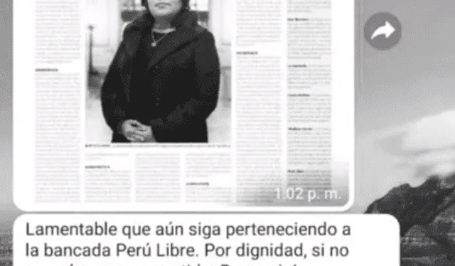 Chat de Perú Libre. Foto: Epicentro TV