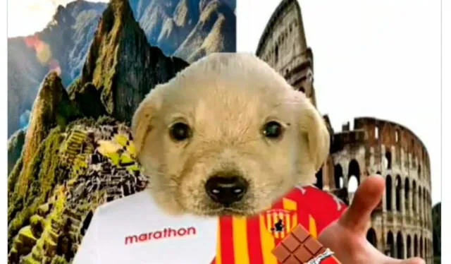 Mejores memes del Perú vs. Chile por eliminatorias. Foto: Twitter