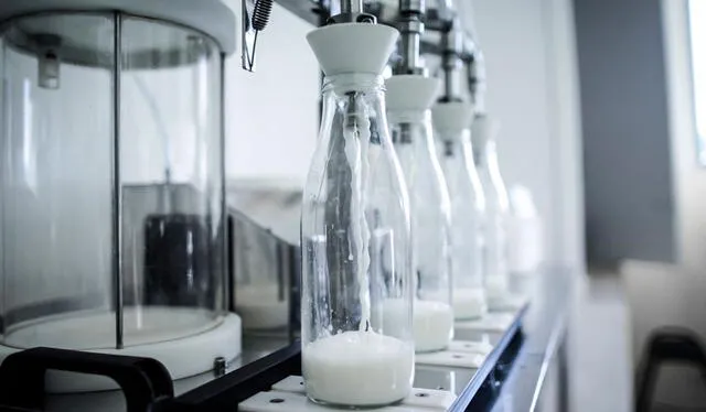 La leche descremada es una opción para quienes buscan controlar su peso. Foto: AFP