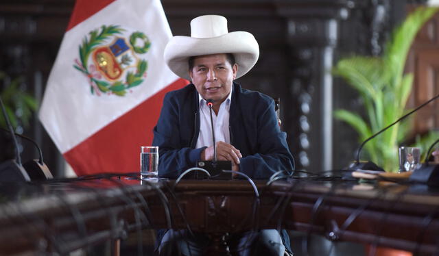 De encontrarse evidencias y pruebas de la participación del presidente Castillo en un acto ilícito, la fiscal de la Nación deberá promover denuncia penal ante el Congreso. Foto: Presidencia