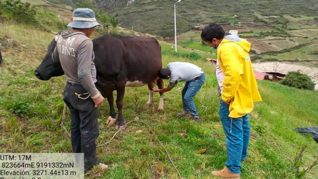 Capacitación de técnicas de ordeño a ganaderos de San Marcos. Foto: Gobierno Regional de Cajamarca.