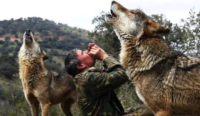 Marcos junto a los que él considera su familia, los lobos. Foto: El País